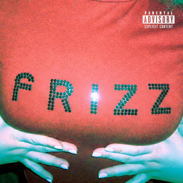 Só Pra Frizzar cover art