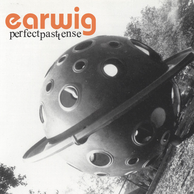 Perfect Past Tense cover