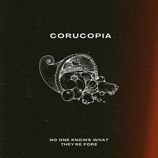 No One Knows What They're For cover art