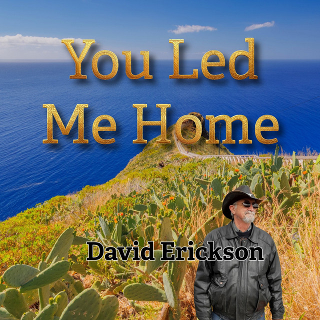 You Led Me Home