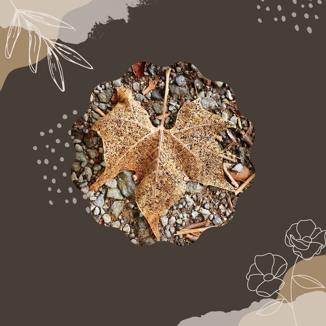 Backdrop for Chilly Novembers - Spirited Piano cover art