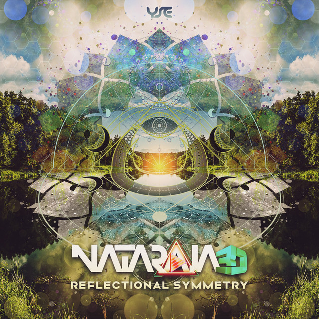 Reflectional Symmetry album art