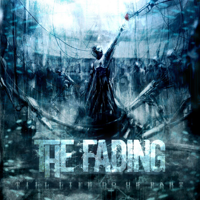 The Fading Photo