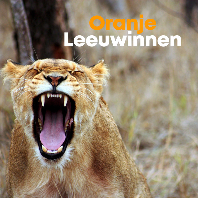 Kleine Jongen