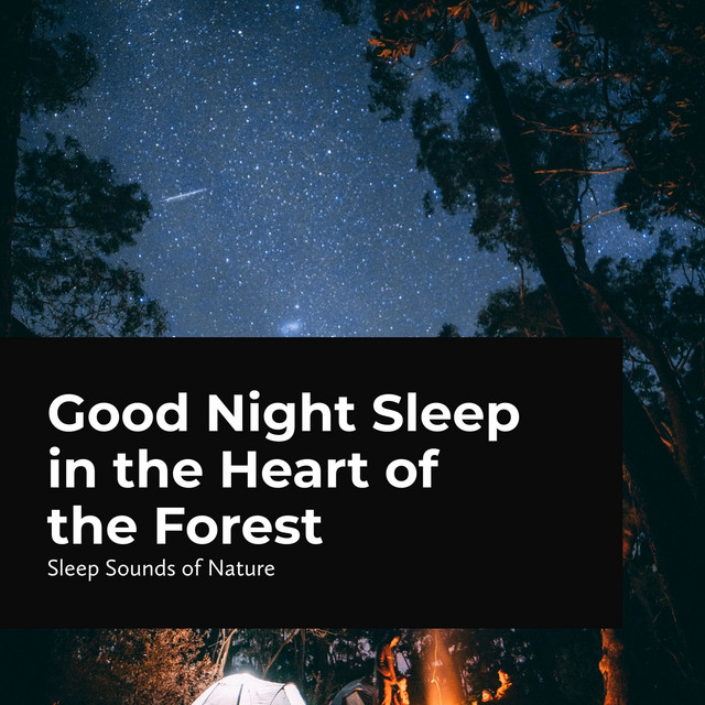 Good Night Sleep in the Heart of the Forest - Album by Sleep Sounds of ...
