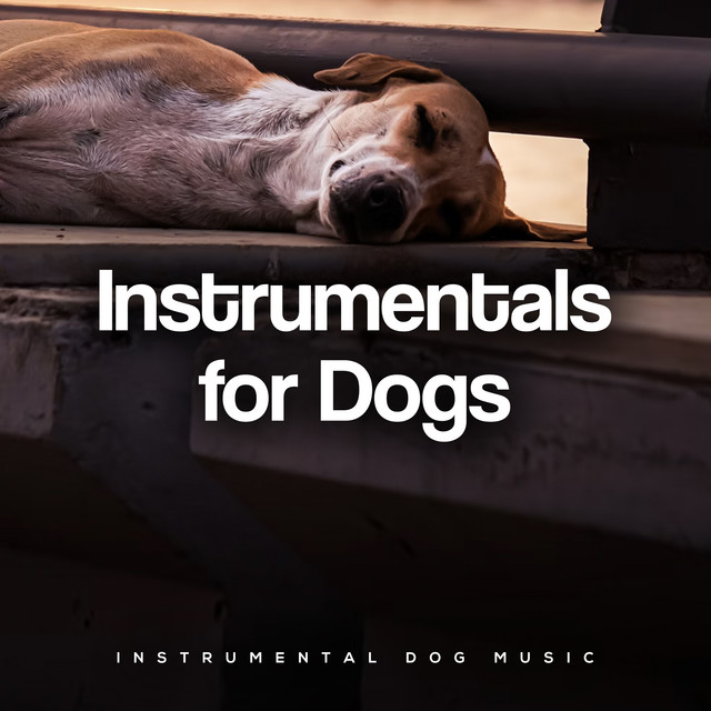 Instrumentals for Dogs - Album by Instrumental Dog Music | Spotify