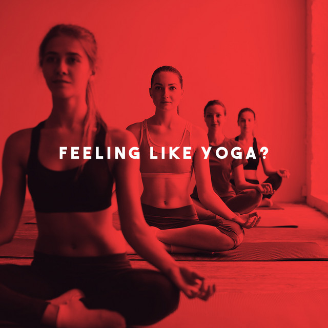 Feeling Like Yoga? cover art
