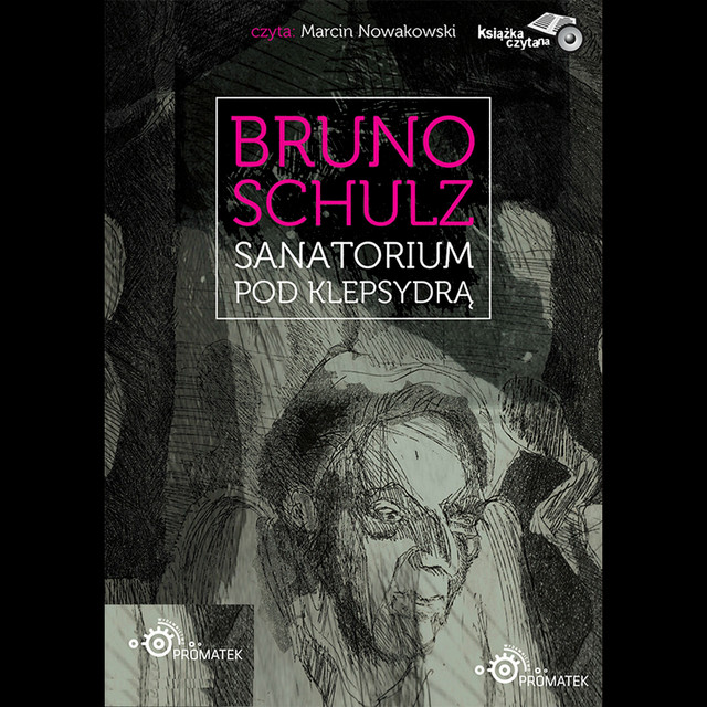 Bruno Schulz: Sanatorium pod Klepsydrą cover