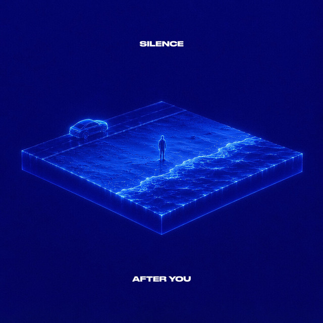 Silence After You album image