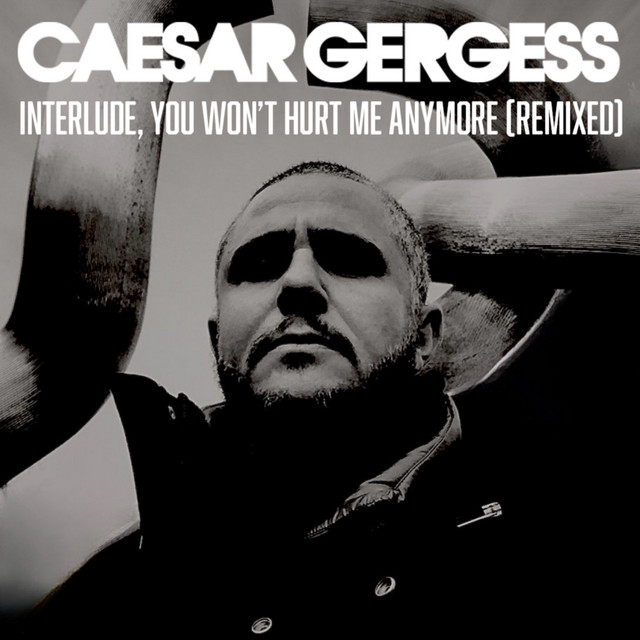 Interlude, You Won't Hurt Me Anymore (Remixed) cover art