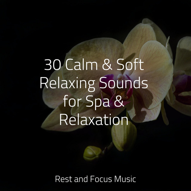 30 Calm & Soft Relaxing Sounds for Spa & Relaxation - Album by ...