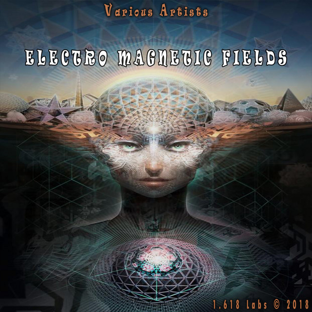 Electro Magnetic Fields cover art