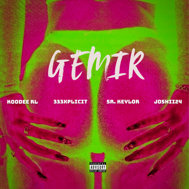 GEMIR