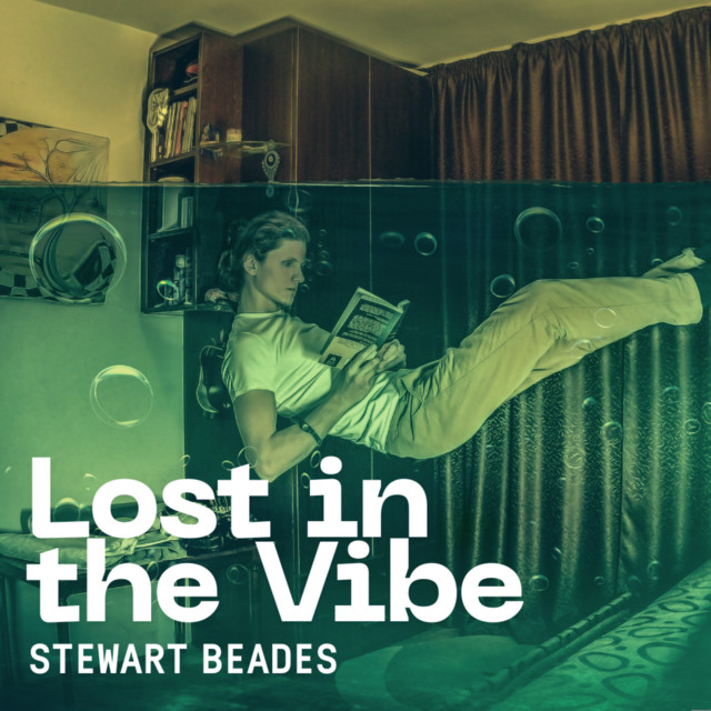 Lost in the Vibe