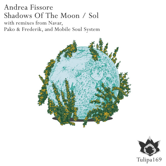 Shadows Of The Moon / Sol cover art
