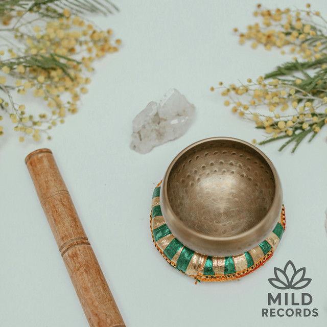 Singing Bowls and the Art of Stillness