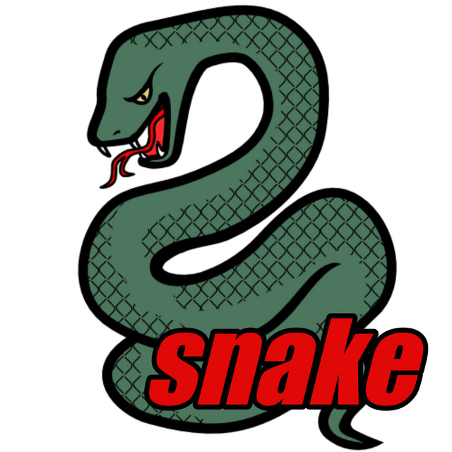 snake cover art