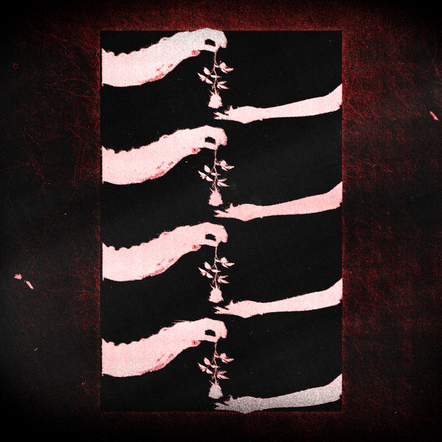 Sleep Well cover art