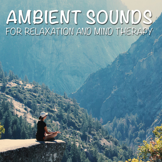 13 Ambient Sounds for Relaxation and Mind Therapy cover art