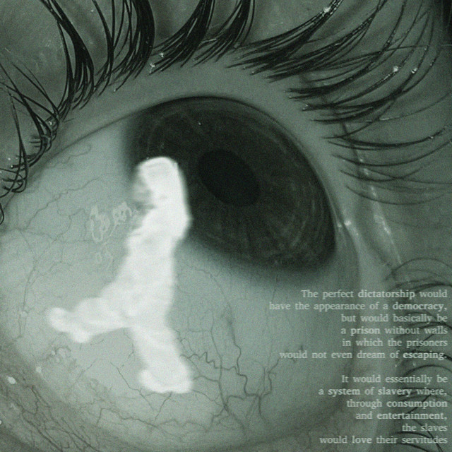 Numbed cover art
