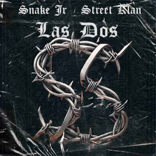 SnakeJR Oficial