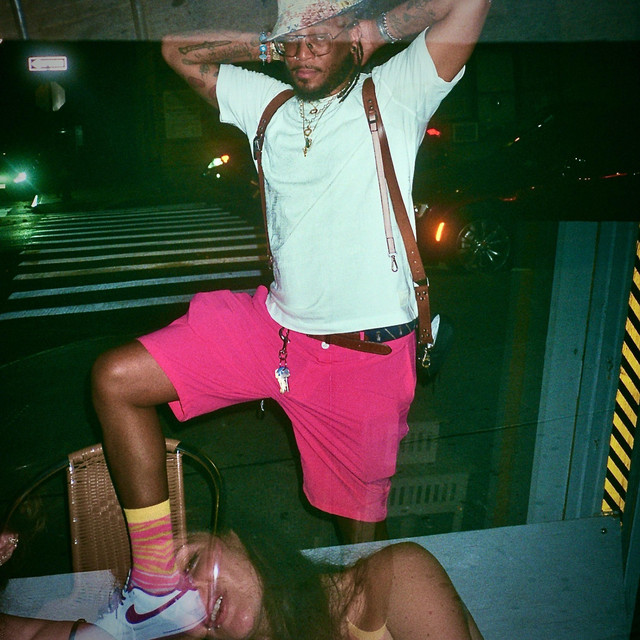 Step cover art