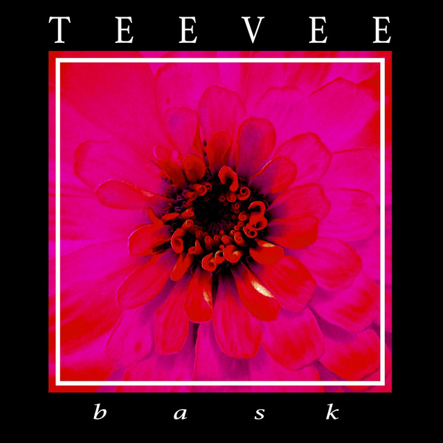 Bask cover