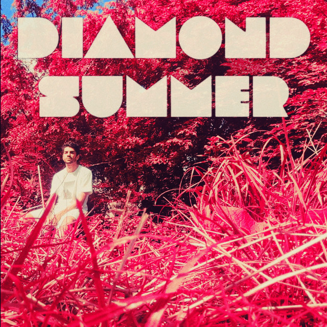 Diamond Summer cover art
