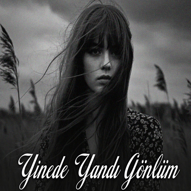Yinede Yandı Gönlüm - song and lyrics by Anatolia Vendik | Spotify