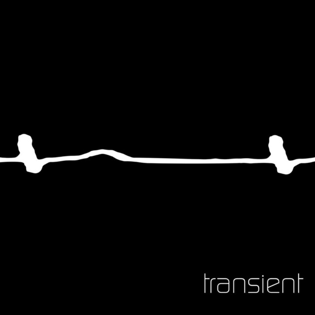 Transient cover art
