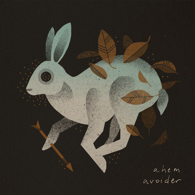 Avoider cover