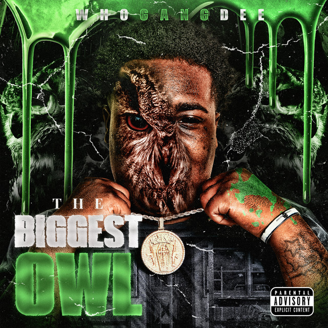 The Biggest Owl cover art