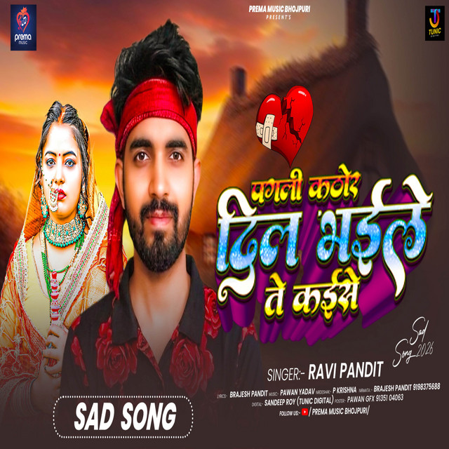 Pagli Kathor Dil Bhaile Te Kaise