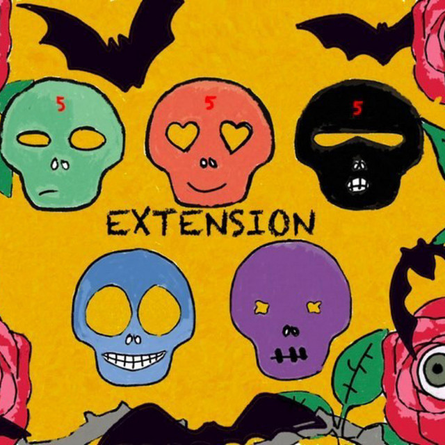 Extension cover art