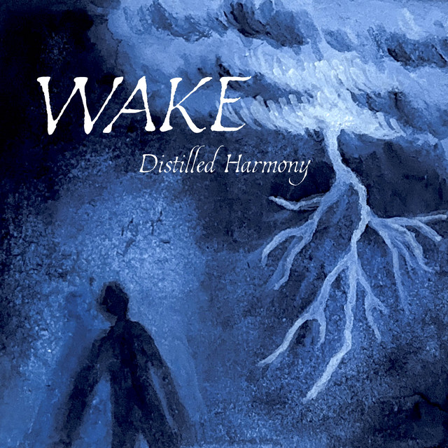 WAKE cover