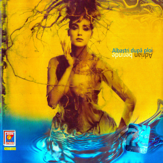 Albaștri după ploi cover