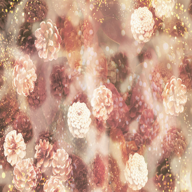 Haze cover art