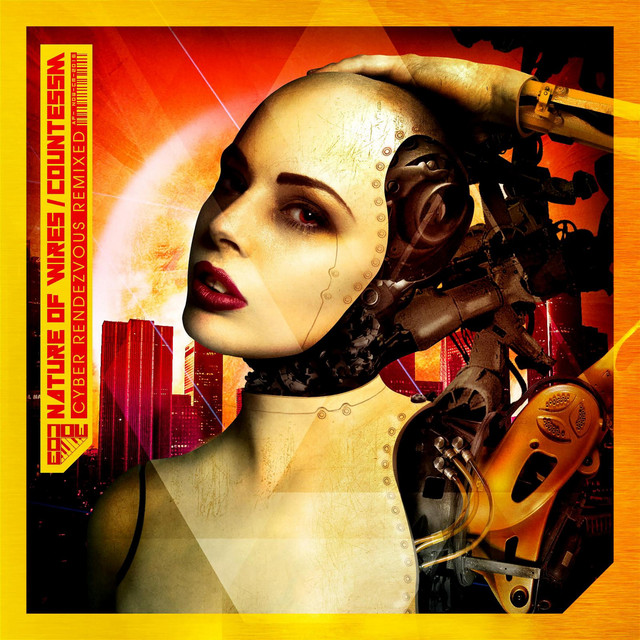 Cyber Rendezvous Remixed cover