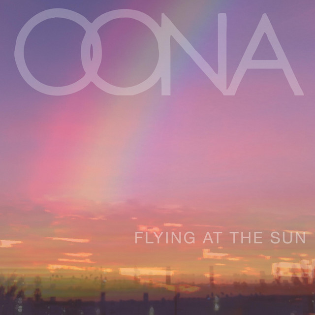 Flying At The Sun cover