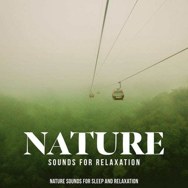 Nature Sounds for Relaxation - Album by Nature Sounds for Sleep and ...