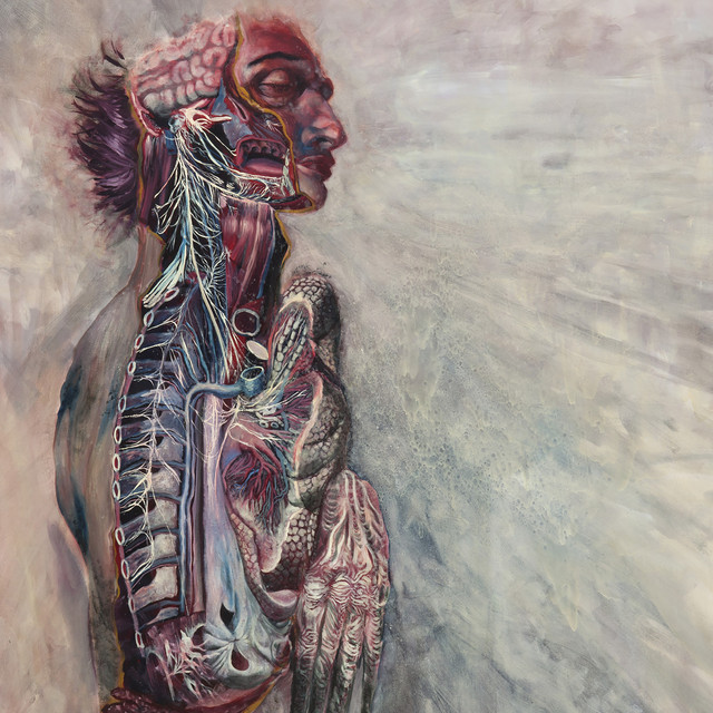 Fear and the Nervous System Photo