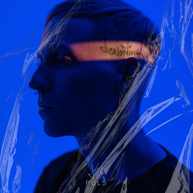 Puls (Deluxe) cover art