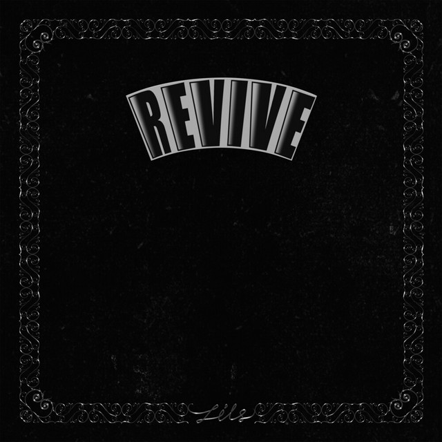 Zils cover art