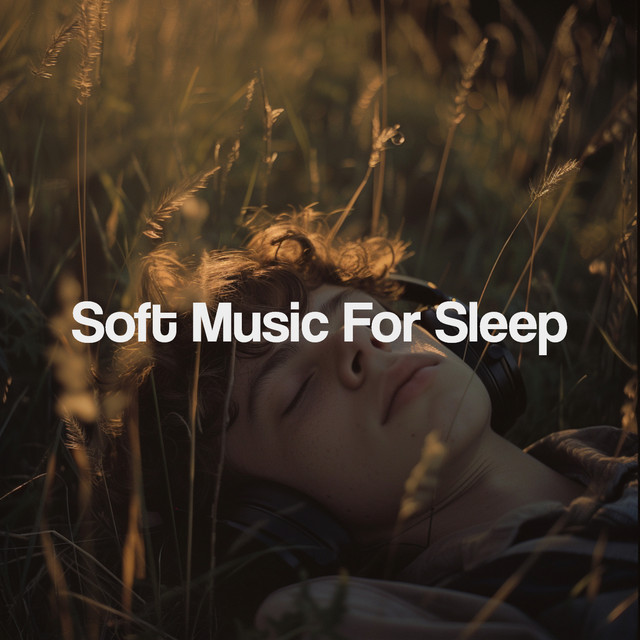 Soft Music For Sleep cover art