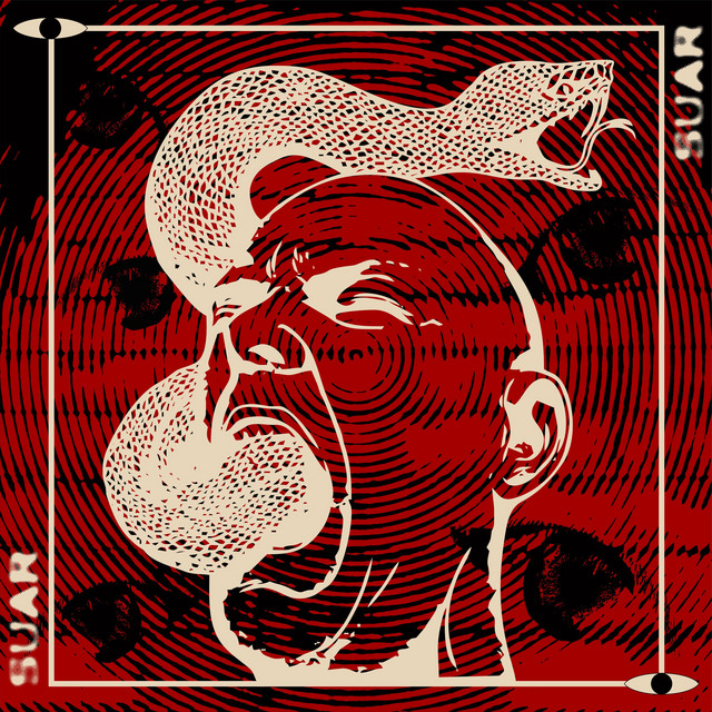 Suar cover art