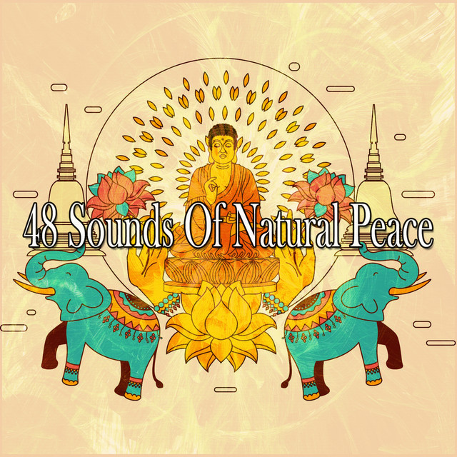 48 Sounds Of Natural Peace cover art