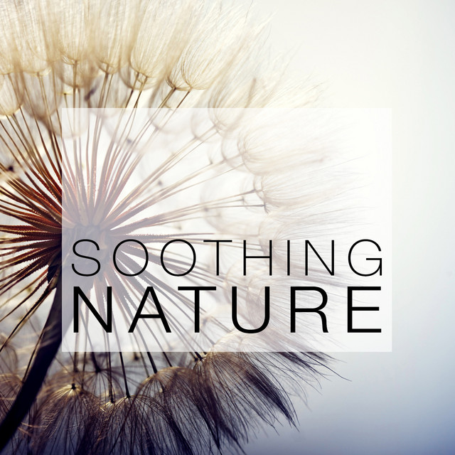 Soothing Nature cover art