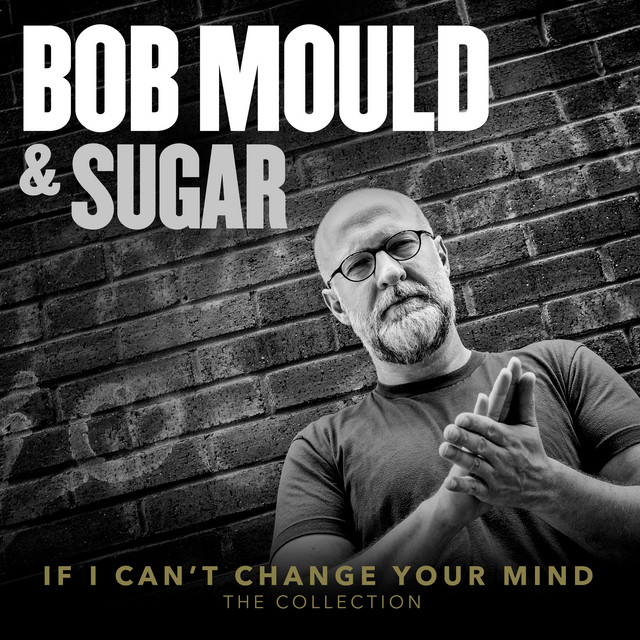 If I Can't Change Your Mind