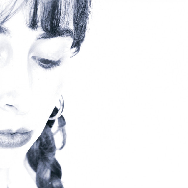 Shy cover art