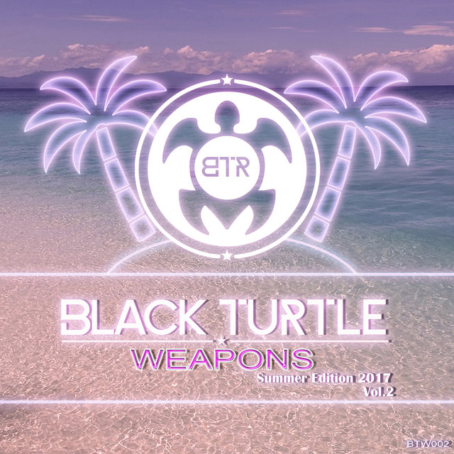Black Turtle Weapons Summer Edition 2017 Vol.2 cover art